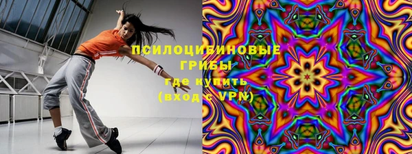 PSILOCYBIN Алексеевка